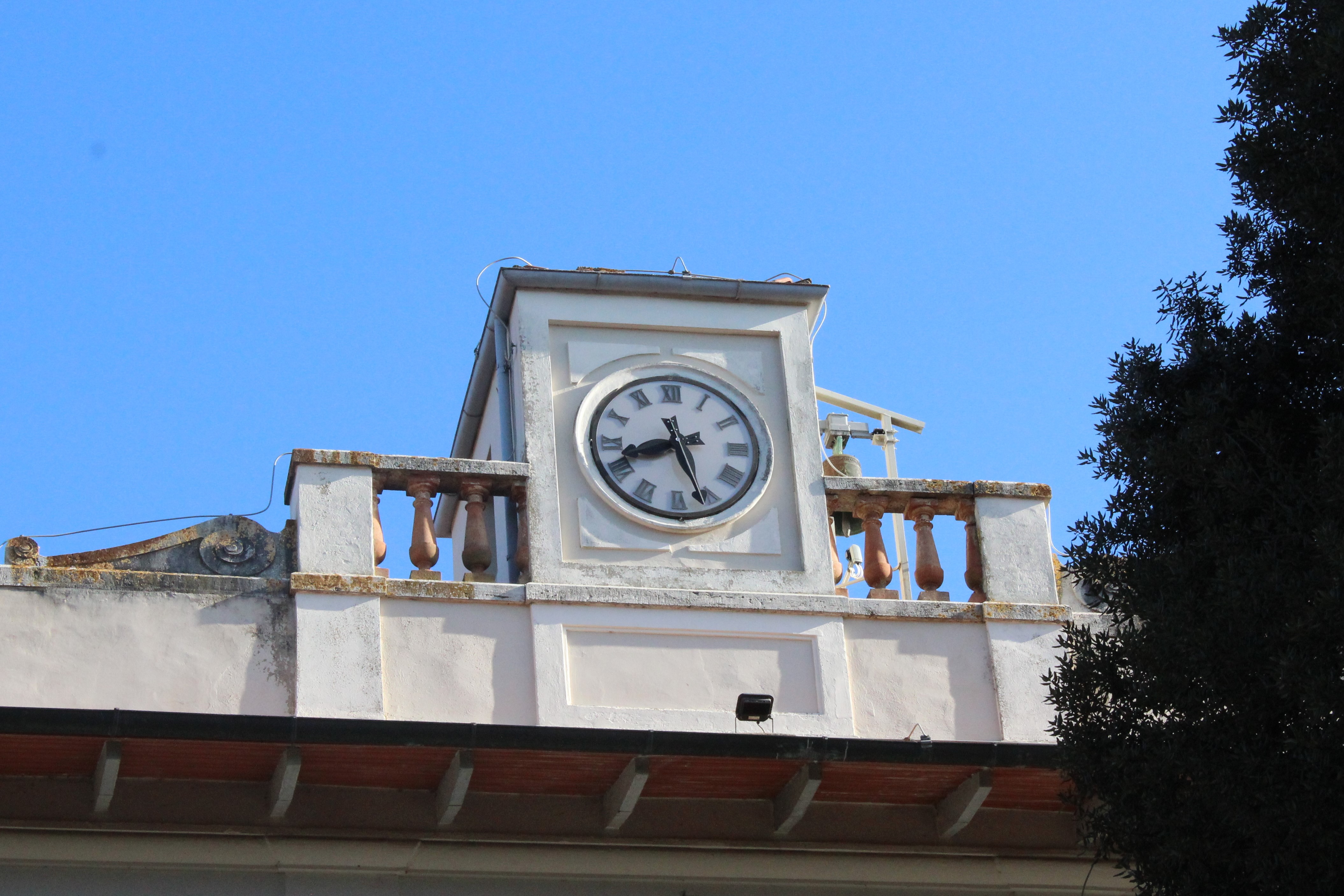 Il Leccio